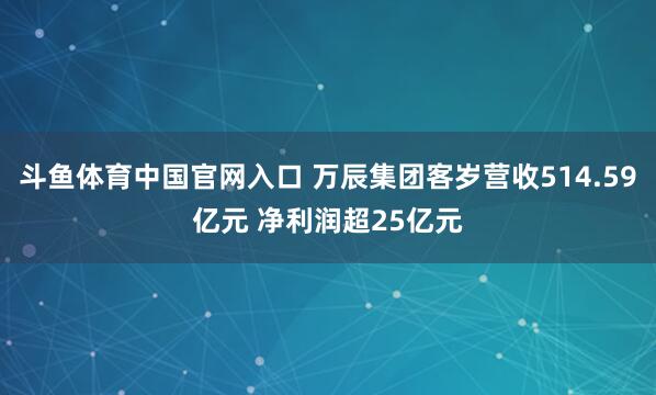 斗鱼体育中国官网入口 万辰集团客岁营收514.59亿元 净利润超25亿元