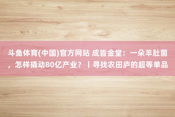 斗鱼体育(中国)官方网站 成皆金堂：一朵羊肚菌，怎样撬动80亿产业？丨寻找农田庐的超等单品