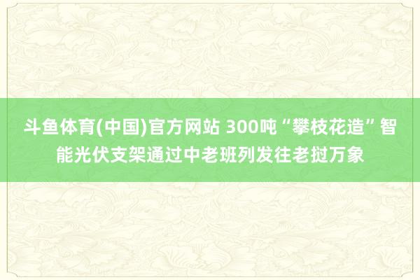 斗鱼体育(中国)官方网站 300吨“攀枝花造”智能光伏支架通过中老班列发往老挝万象
