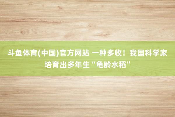 斗鱼体育(中国)官方网站 一种多收！我国科学家培育出多年生“龟龄水稻”