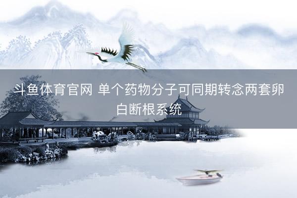 斗鱼体育官网 单个药物分子可同期转念两套卵白断根系统