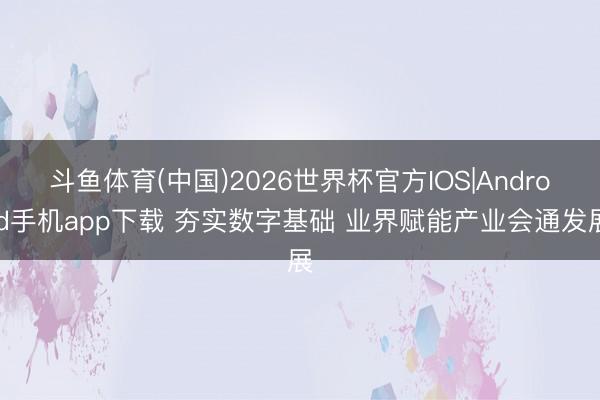 斗鱼体育(中国)2026世界杯官方IOS|Android手机app下载 夯实数字基础 业界赋能产业会通发展