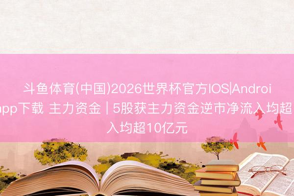 斗鱼体育(中国)2026世界杯官方IOS|Android手机app下载 主力资金 | 5股获主力资金逆市净流入均超10亿元