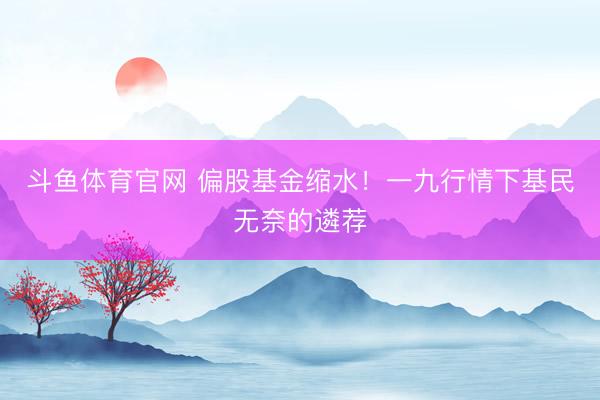 斗鱼体育官网 偏股基金缩水!一九行情下基民无奈的遴荐